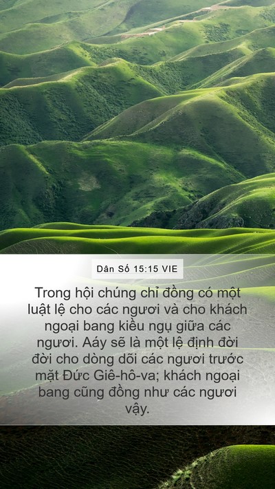 Dân Số 15:15 VIE Bible Verse Image