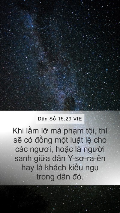 Dân Số 15:29 VIE Bible Verse Image