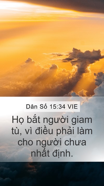 Dân Số 15:34 VIE Bible Verse Image