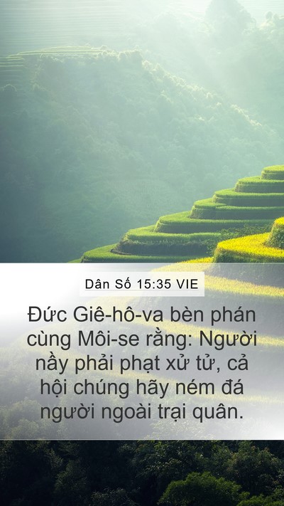Dân Số 15:35 VIE Bible Verse Image