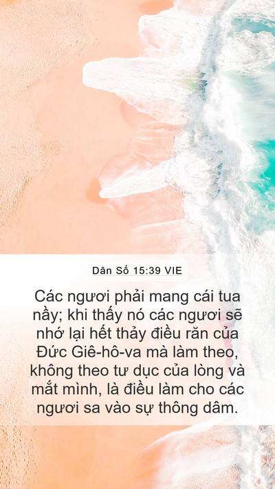Dân Số 15:39 VIE Bible Verse Image
