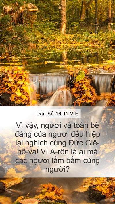 Dân Số 16:11 VIE Bible Verse Image