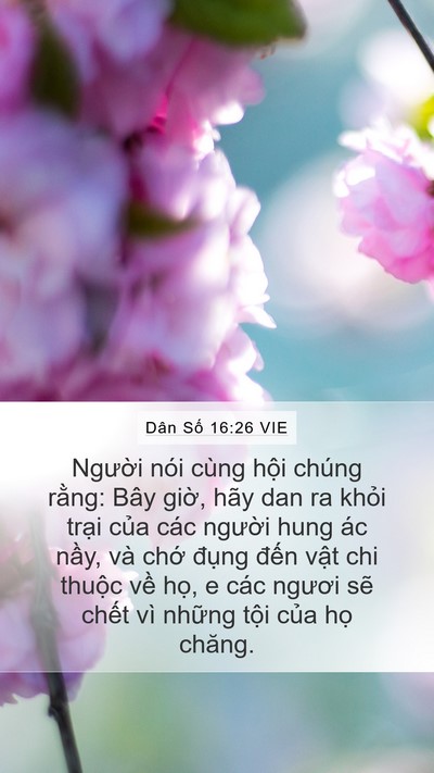 Dân Số 16:26 VIE Bible Verse Image