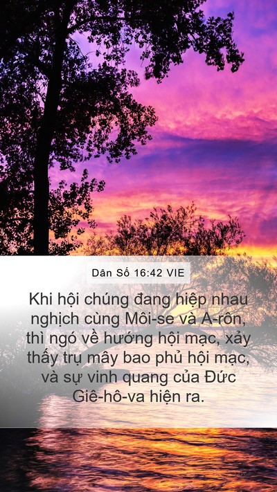 Dân Số 16:42 VIE Bible Verse Image