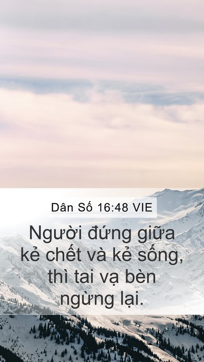 Dân Số 16:48 VIE Bible Verse Image