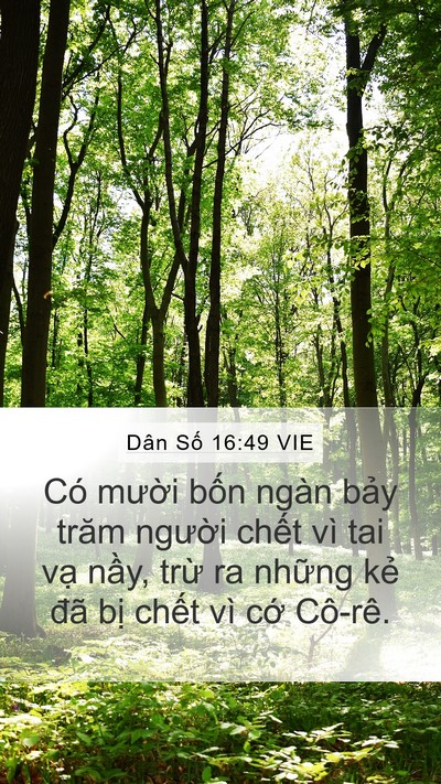 Dân Số 16:49 VIE Bible Verse Image