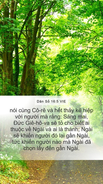 Dân Số 16:5 VIE Bible Verse Image