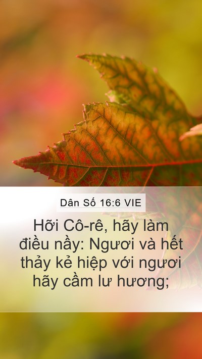 Dân Số 16:6 VIE Mobile Phone Wallpaper - Hỡi Cô-rê, hãy làm điều nầy: Ngươi - Mobile Bible Verse Wallpaper