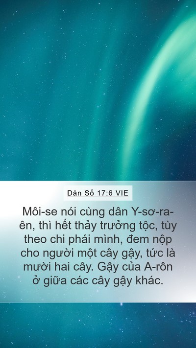 Dân Số 17:6 VIE Bible Verse Image