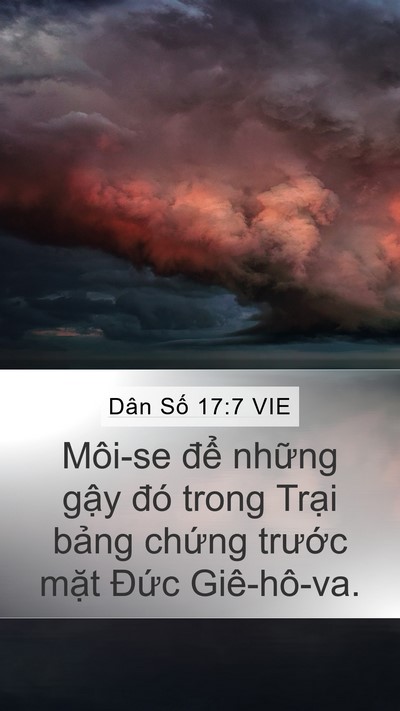 Dân Số 17:7 VIE Bible Verse Image