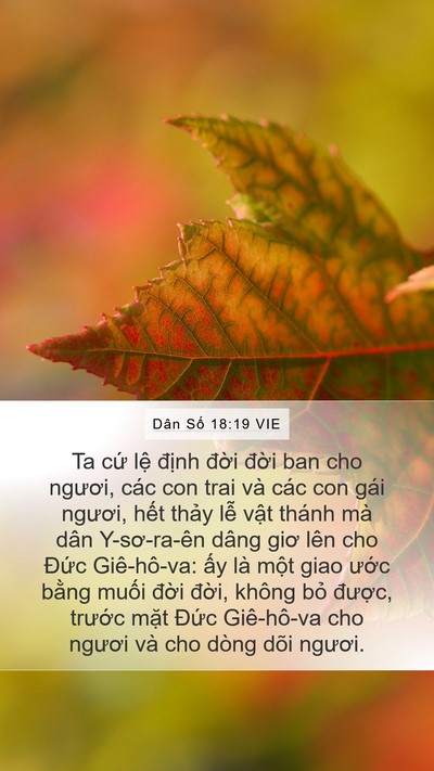 Dân Số 18:19 VIE Bible Verse Image