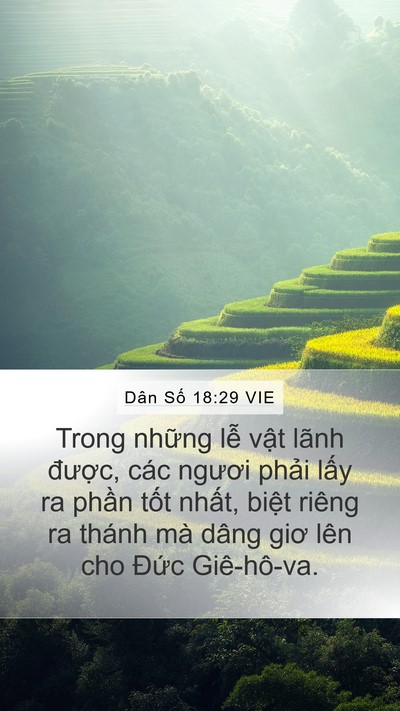 Dân Số 18:29 VIE Mobile Phone Wallpaper - Trong những lễ vật lãnh được, các - Mobile Bible Verse Wallpaper