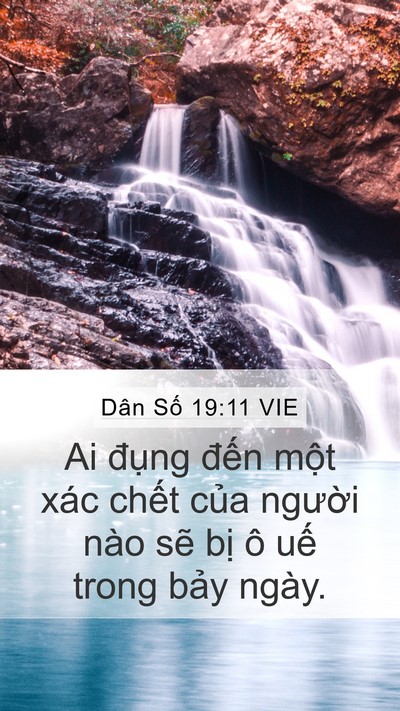 Dân Số 19:11 VIE Bible Verse Image