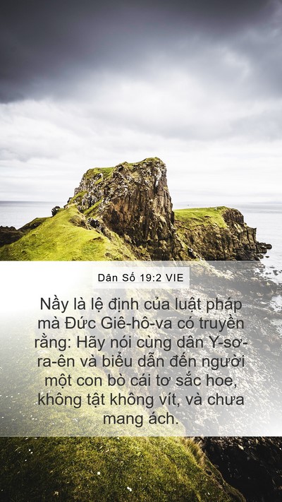 Dân Số 19:2 VIE Mobile Phone Wallpaper - Nầy là lệ định của luật pháp mà - Mobile Bible Verse Wallpaper