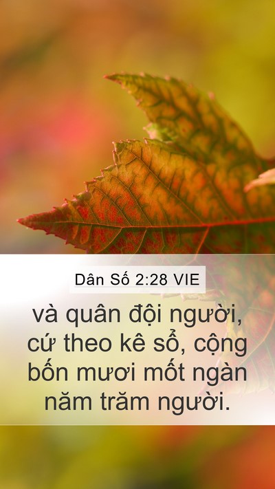Dân Số 2:28 VIE Bible Verse Image
