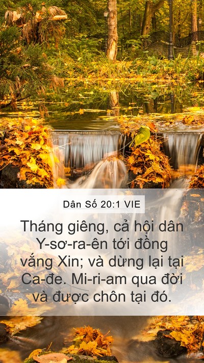 Dân Số 20:1 VIE Bible Verse Image