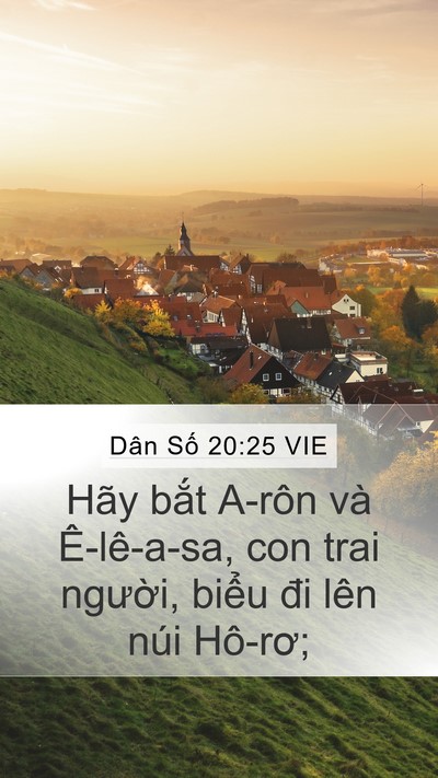 Dân Số 20:25 VIE Bible Verse Image