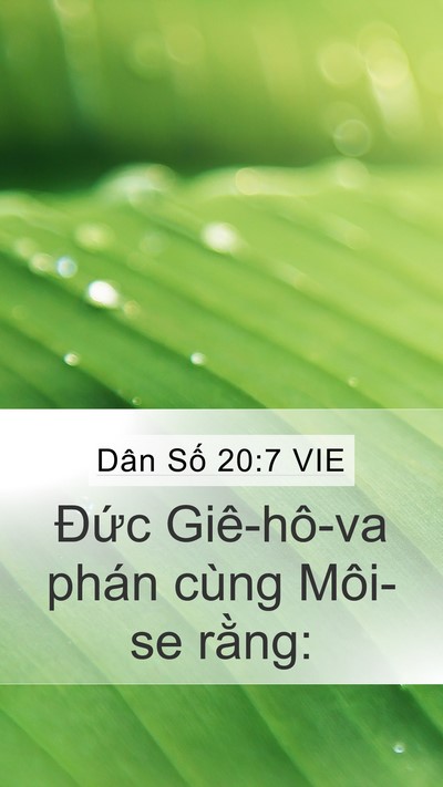 Dân Số 20:7 VIE Mobile Phone Wallpaper - Đức Giê-hô-va phán cùng Môi-se - Mobile Bible Verse Wallpaper