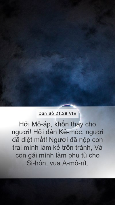 Dân Số 21:29 VIE Bible Verse Image