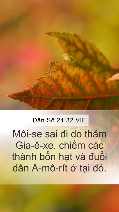 Dân Số 21:32 VIE Bible Verse Image