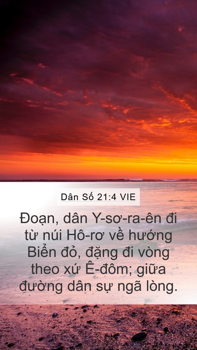 Dân Số 21:4 VIE Bible Verse Image