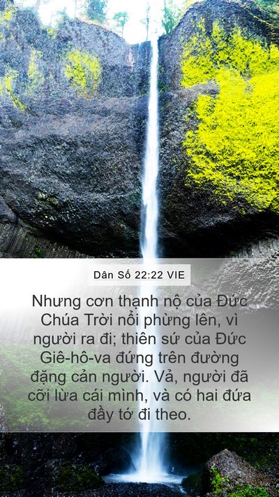 Dân Số 22:22 VIE Bible Verse Image