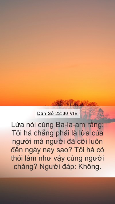 Dân Số 22:30 VIE Mobile Phone Wallpaper - Lừa nói cùng Ba-la-am rằng: Tôi há - Mobile Bible Verse Wallpaper