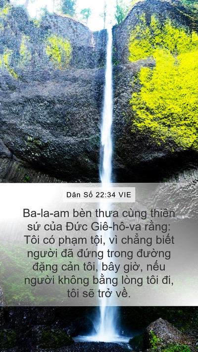 Dân Số 22:34 VIE Bible Verse Image
