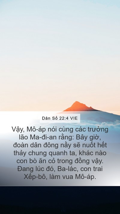 Dân Số 22:4 VIE Mobile Phone Wallpaper - Vậy, Mô-áp nói cùng các trưởng lão - Mobile Bible Verse Wallpaper