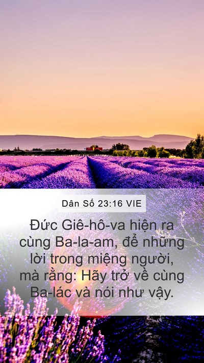 Dân Số 23:16 VIE Bible Verse Image