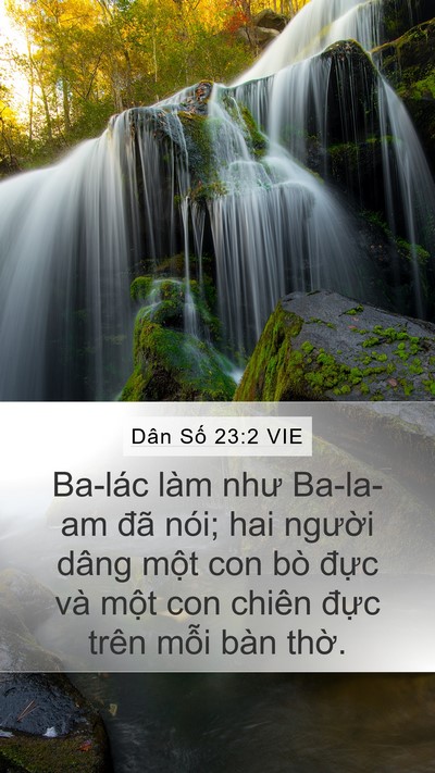 Dân Số 23:2 VIE Mobile Phone Wallpaper - Ba-lác làm như Ba-la-am đã nói; hai - Mobile Bible Verse Wallpaper