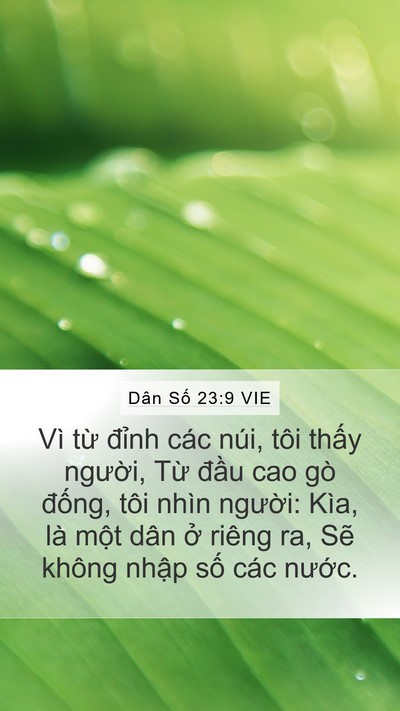 Dân Số 23:9 VIE Mobile Phone Wallpaper - Vì từ đỉnh các núi, tôi thấy người, - Mobile Bible Verse Wallpaper