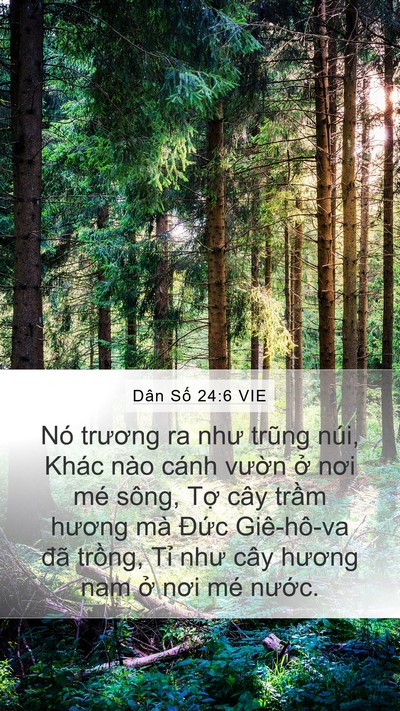Dân Số 24:6 VIE Bible Verse Image