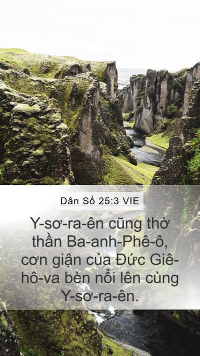 Dân Số 25:3 VIE Bible Verse Image