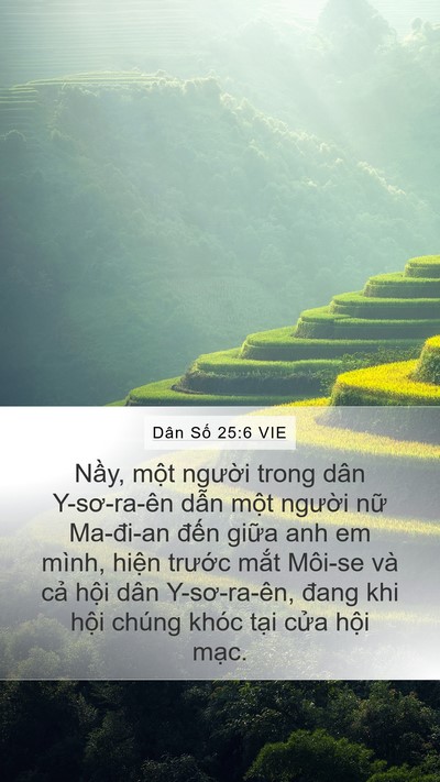 Dân Số 25:6 VIE Bible Verse Image