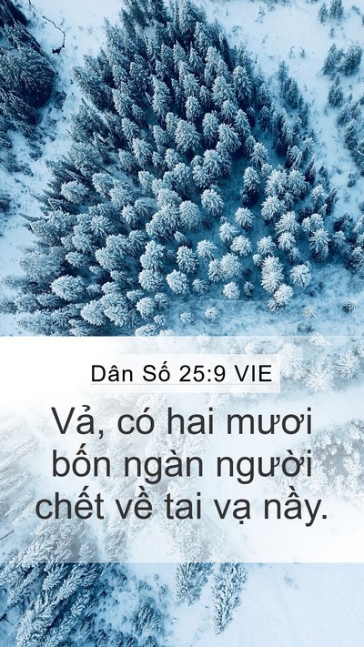 Dân Số 25:9 VIE Bible Verse Image