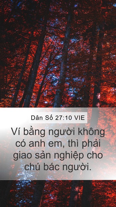 Dân Số 27:10 VIE Mobile Phone Wallpaper - Ví bằng người không có anh em, thì - Mobile Bible Verse Wallpaper