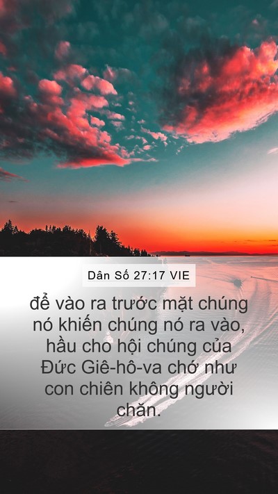 Dân Số 27:17 VIE Bible Verse Image
