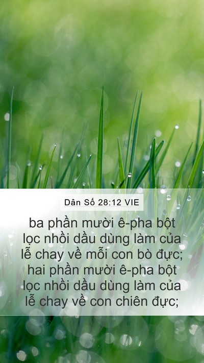 Dân Số 28:12 VIE Bible Verse Image