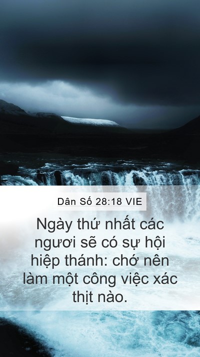 Dân Số 28:18 VIE Bible Verse Image