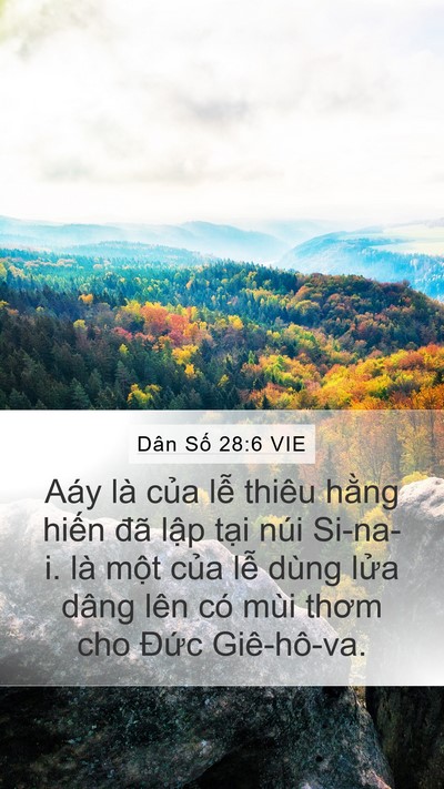 Dân Số 28:6 VIE Mobile Phone Wallpaper - Aáy là của lễ thiêu hằng hiến đã - Mobile Bible Verse Wallpaper