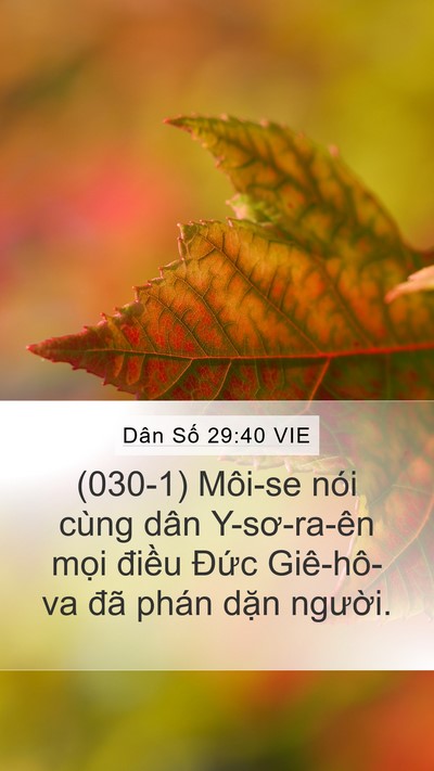 Dân Số 29:40 VIE Bible Verse Image