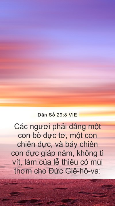 Dân Số 29:8 VIE Bible Verse Image