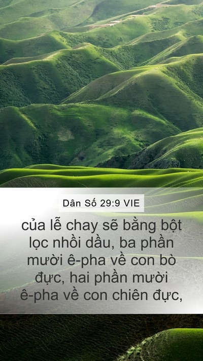 Dân Số 29:9 VIE Mobile Phone Wallpaper - của lễ chay sẽ bằng bột lọc nhồi - Mobile Bible Verse Wallpaper