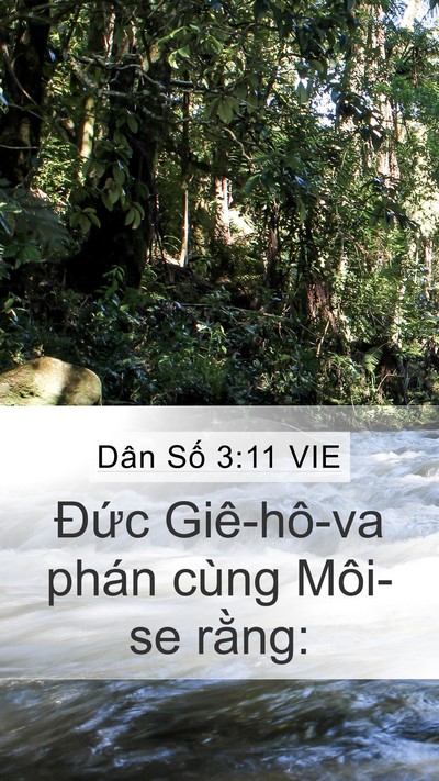 Dân Số 3:11 VIE Mobile Phone Wallpaper - Đức Giê-hô-va phán cùng Môi-se - Mobile Bible Verse Wallpaper