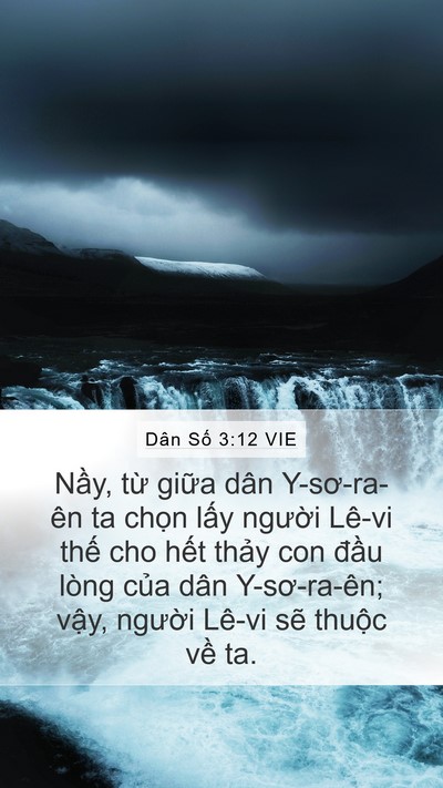 Dân Số 3:12 VIE Bible Verse Image