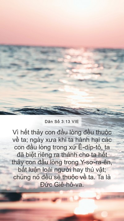 Dân Số 3:13 VIE Mobile Phone Wallpaper - Vì hết thảy con đầu lòng đều thuộc - Mobile Bible Verse Wallpaper