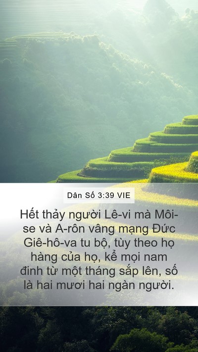 Dân Số 3:39 VIE Bible Verse Image