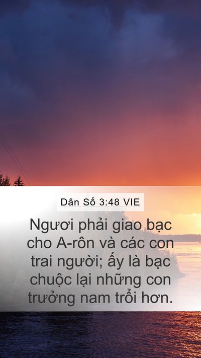 Dân Số 3:48 VIE Mobile Phone Wallpaper - Ngươi phải giao bạc cho A-rôn và các con - Mobile Bible Verse Wallpaper