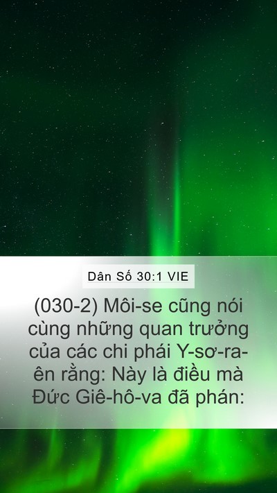 Dân Số 30:1 VIE Mobile Phone Wallpaper - (030-2) Môi-se cũng nói cùng những quan - Mobile Bible Verse Wallpaper